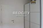 Dvosoban stan, Novi Sad, Liman 3, izdavanje, 39m2, 500e, id1381345