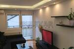 Jednoiposoban stan, Niš, Šojka, izdavanje, 50m2, 350e, id795123