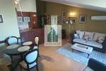 Dvosoban stan, Niš, izdavanje, 60m2, 400e, id1382223