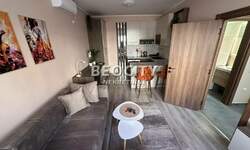 Jednosoban stan, Novi Sad, Detelinara, izdavanje, 30m2, 400e, id1382232