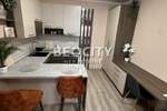 Jednosoban stan, Novi Sad, Detelinara, izdavanje, 30m2, 400e, id1382232
