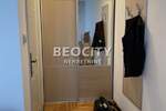Jednosoban stan, Novi Sad, Nova Detelinara, izdavanje, 33m2, 300e, id1382239