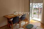Jednosoban stan, Novi Sad, Detelinara, izdavanje, 22m2, 200e, id1382240