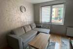 Jednoiposoban stan, Niš, Centar, izdavanje, 43m2, 420e, id1382771