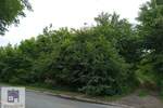 Plac, Beograd, prodaja, 0m2, 55000e, id1382781
