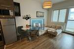 Jednosoban stan, Jagodina, izdavanje, 44m2, 230e, id1382782