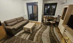 Dvoiposoban stan, Beograd, Dušanovac, izdavanje, 52m2, 800e, id1382817