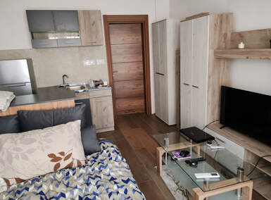 Jednosoban stan, Beograd, izdavanje, 28m2, 350e, id1382844