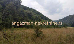 Plac, Boljevac, Jablanica, prodaja, 0m2, 6000e, id796365