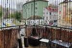 Dvosoban stan, Beograd, Centar (uži), prodaja, 57m2, 142500e, id1383871