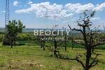 Plac, Sremska Mitrovica, Divoš, prodaja, 5800m2, 53000e, id1383914
