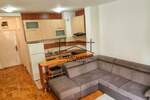 Jednoiposoban stan, Novi Sad, Detelinara, izdavanje, 41m2, 400e, id1383401