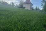 Plac, Zlatibor, Trnava, prodaja, 1000m2, 12000e, id1383915