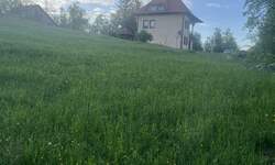 Plac, Zlatibor, Trnava, prodaja, 1000m2, 12000e, id1383915