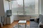 Garsonjera, Novi Sad, Grbavica, izdavanje, 20m2, 300e, id1383393