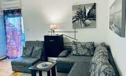 Garsonjera, Novi Sad, Sajam, izdavanje, 26m2, 300e, id1383394