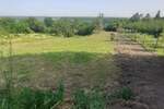 Plac, Inđija, Krcedin, prodaja, 2800m2, 27000e, id1384433