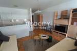 Jednosoban stan, Novi Sad, Nova Detelinara, izdavanje, 34m2, 300e, id1384530