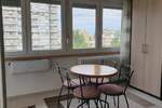 Jednosoban stan, Novi Sad, Liman 3, izdavanje, 26m2, 280e, id1384548