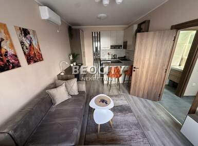Jednosoban stan, Novi Sad, Detelinara, izdavanje, 30m2, 400e, id1384725