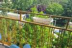 Dvoiposoban stan, Niš, izdavanje, 58m2, 390e, id1384809