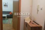 Jednosoban stan, Beograd, Bežanijska Kosa Iii, izdavanje, 47m2, 450e, id1385261