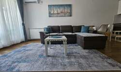 Jednoiposoban stan, Novi Sad, Grbavica, izdavanje, 45m2, 650e, id1383396