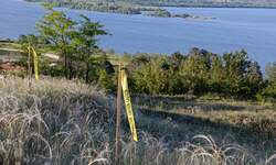 Plac, Golubac, Golubac, prodaja, 1400m2, 25000e, id1385363