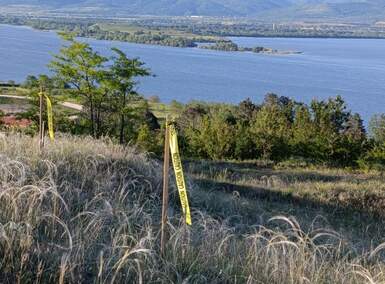 Plac, Golubac, Golubac, prodaja, 1400m2, 25000e, id1385363