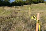 Plac, Golubac, Golubac, prodaja, 1400m2, 25000e, id1385363