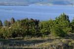 Plac, Golubac, Golubac, prodaja, 1400m2, 25000e, id1385363