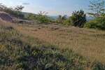 Plac, Golubac, Golubac, prodaja, 1400m2, 25000e, id1385363