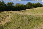Plac, Golubac, Golubac, prodaja, 1400m2, 25000e, id1385363