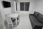 Jednosoban stan, Novi Sad, Telep, izdavanje, 22m2, 280e, id1385419