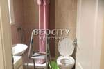 Jednosoban stan, Novi Sad, Detelinara, izdavanje, 27m2, 280e, id1385436