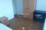Dvosoban stan, Novi Sad, Detelinara, izdavanje, 32m2, 260e, id1385437