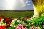 Plac, Beograd, prodaja, 98m2, 0e, id253727
