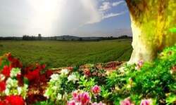 Plac, Beograd, prodaja, 98m2, 0e, id253727