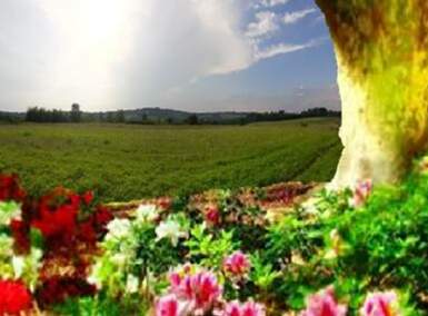 Plac, Beograd, prodaja, 98m2, 0e, id253727