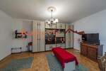 Jednosoban stan, Beograd, Bezanijska Kosa, izdavanje, 37m2, 350e, id1385967