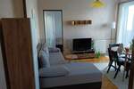 Jednoiposoban stan, Niš, Park Svetog Save, izdavanje, 40m2, 300e, id1385970
