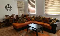 Jednoiposoban stan, Niš, Palilula, izdavanje, 45m2, 300e, id941437