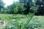 Plac, Beograd, Konatice, prodaja, 1m2, 25000e, id1385978