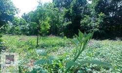 Plac, Beograd, Konatice, prodaja, 1m2, 25000e, id1385978