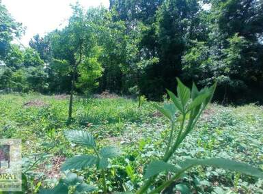 Plac, Beograd, Konatice, prodaja, 1m2, 25000e, id1385978