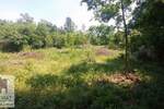 Plac, Beograd, Konatice, prodaja, 1m2, 25000e, id1385978