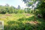Plac, Beograd, Konatice, prodaja, 1m2, 25000e, id1385978