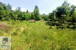 Plac, Beograd, Konatice, prodaja, 1m2, 25000e, id1385978