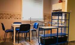 Dvoiposoban stan, Novi Sad, Rotkvarija, izdavanje, 58m2, 550e, id1386053