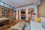 Dvoiposoban stan, Beograd, Centar, izdavanje, 52m2, 1000e, id1386573